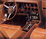 1980 Pontiac-26